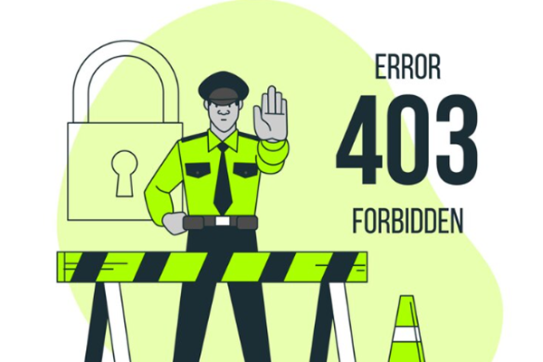 403 Forbidden Error